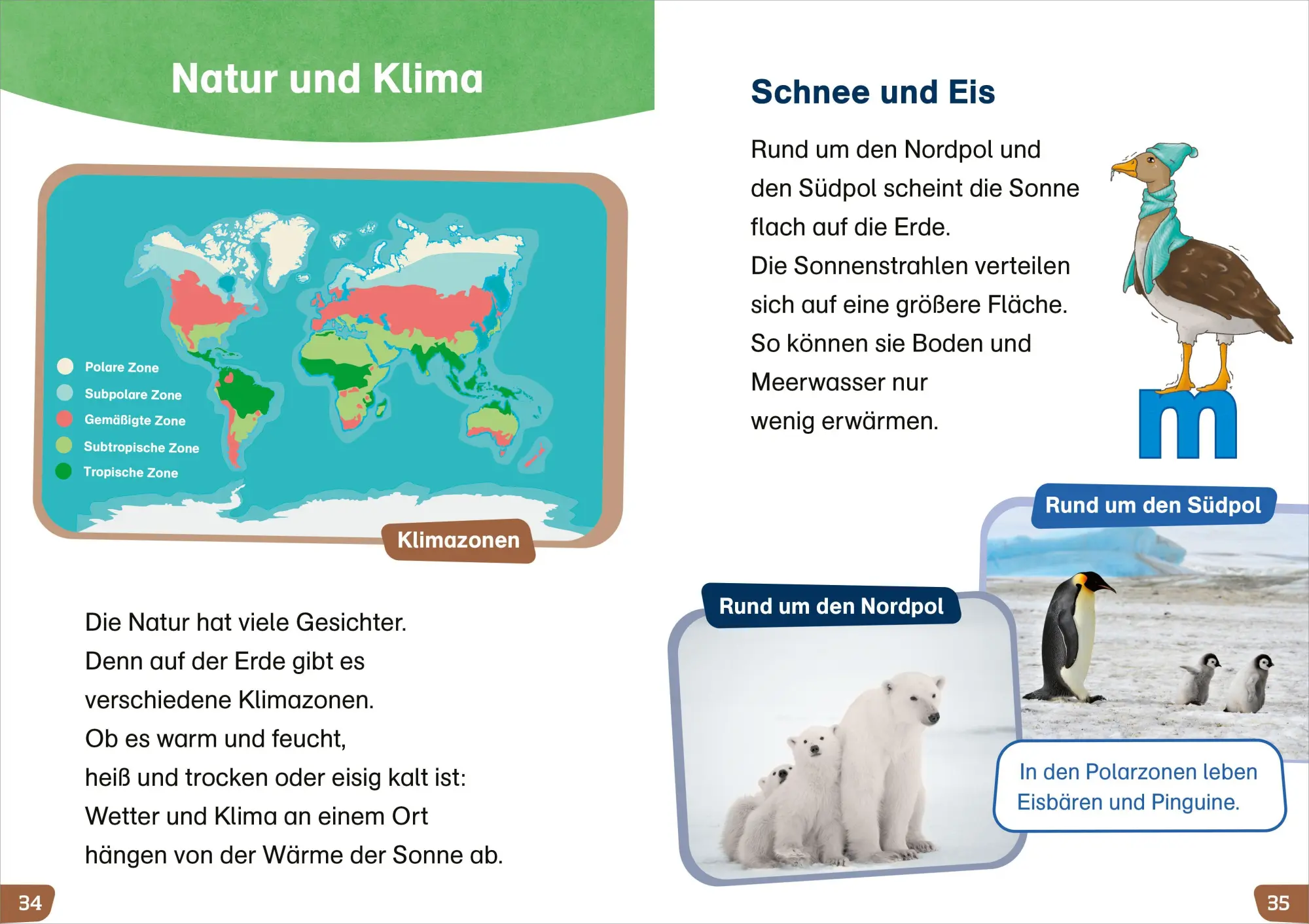 Bild: 9783788681562 | WAS IST WAS Erstes Lesen easy! Entdecke unsere Erde | Meierjürgen