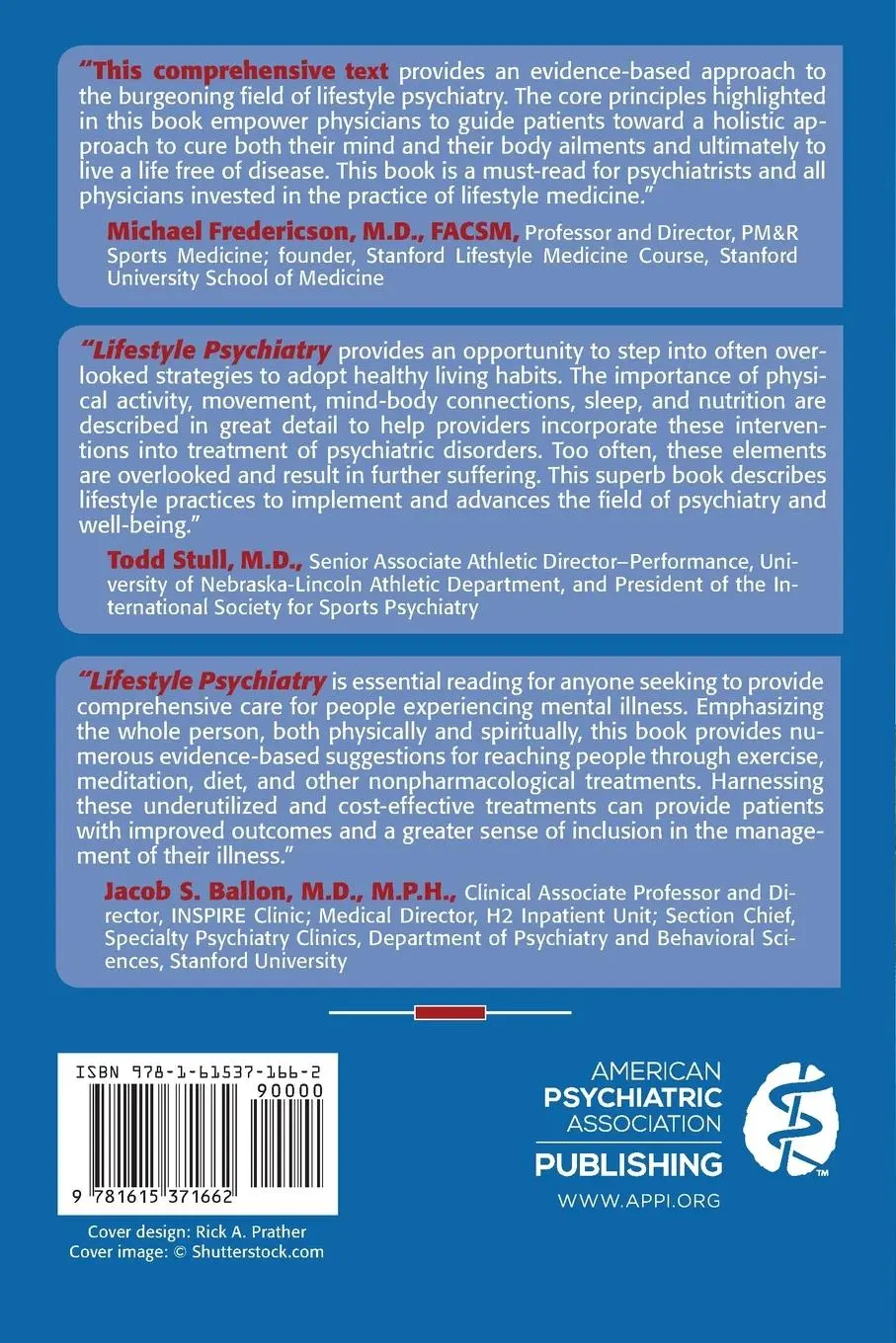 Rückseite: 9781615371662 | Lifestyle Psychiatry | Douglas L. Noordsy | Taschenbuch | Englisch