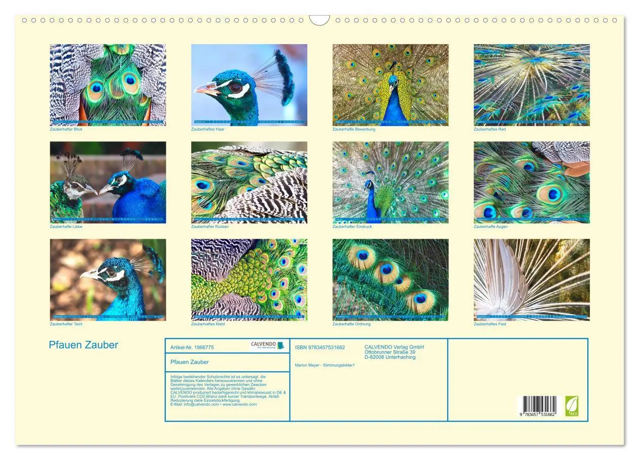 Bild: 9783457531662 | Pfauen Zauber (Wandkalender 2026 DIN A2 quer), CALVENDO Monatskalender