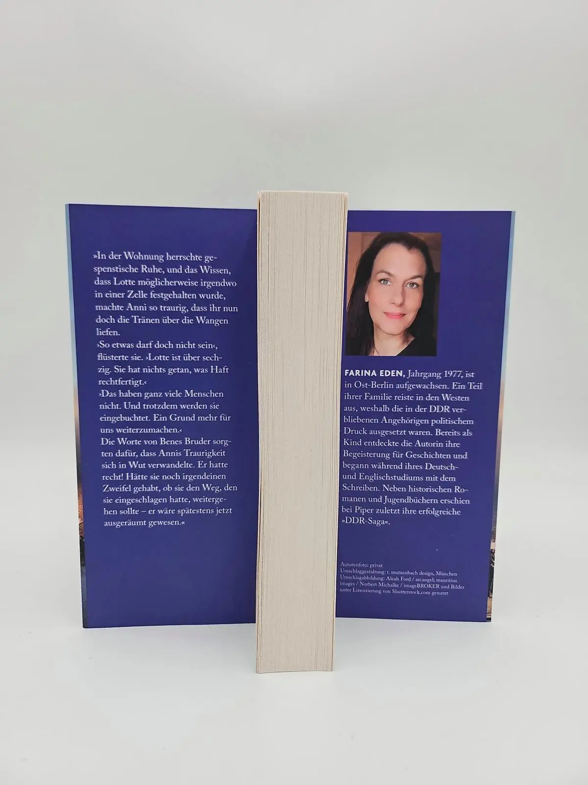 Bild: 9783492321662 | Als wir vom Aufbruch träumten | Farina Eden | Taschenbuch | 448 S.