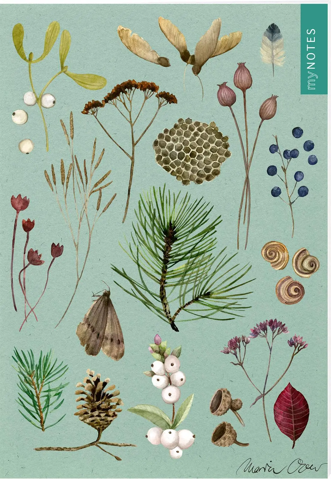 Cover: 4014489131762 | myNOTES Papeterie: Notizheft Naturschätze -Winterwald | Maria Over