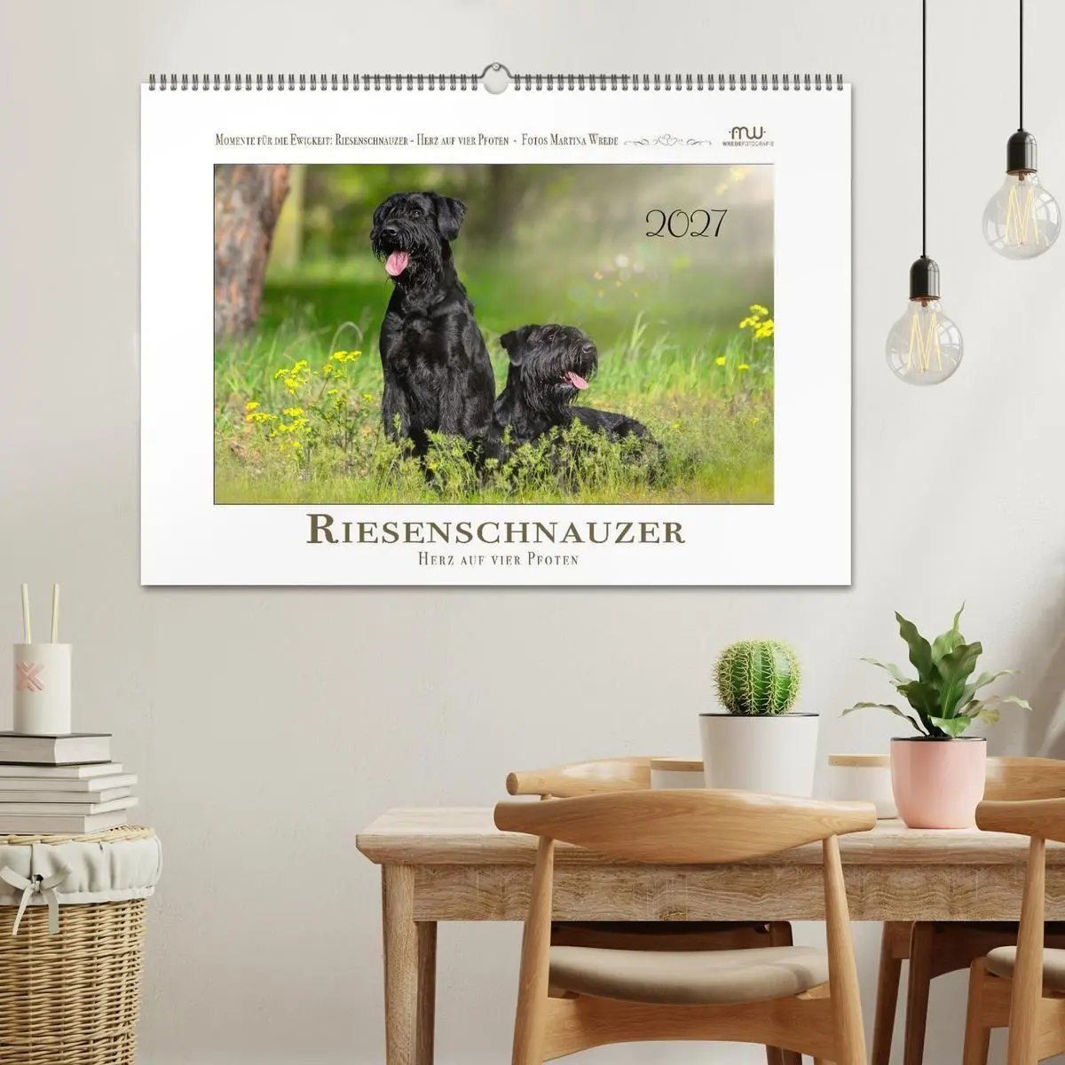 Bild: 9783516781762 | Riesenschnauzer - Herz auf vier Pfoten (Wandkalender 2027 DIN A2...