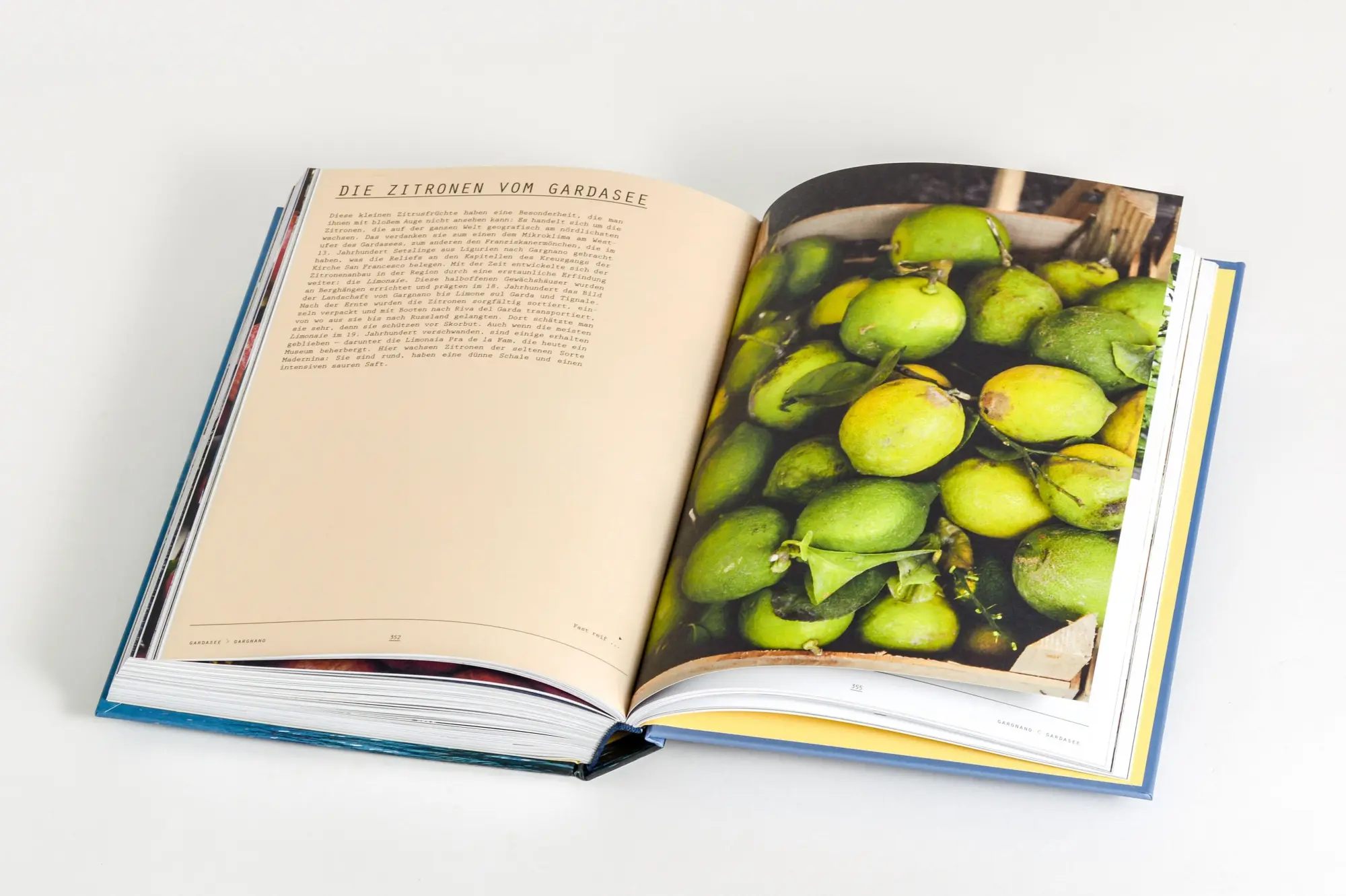 Bild: 9783791391762 | Lago. Die Küche der norditalienischen Seen | Catherine Roig | Buch