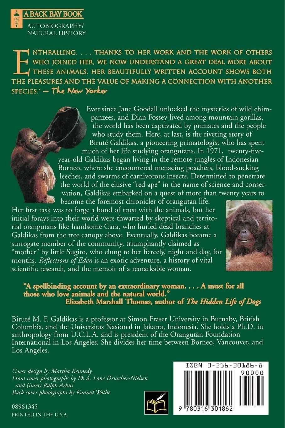 Rückseite: 9780316301862 | Reflections of Eden | My Years with the Orangutans of Borneo | Buch