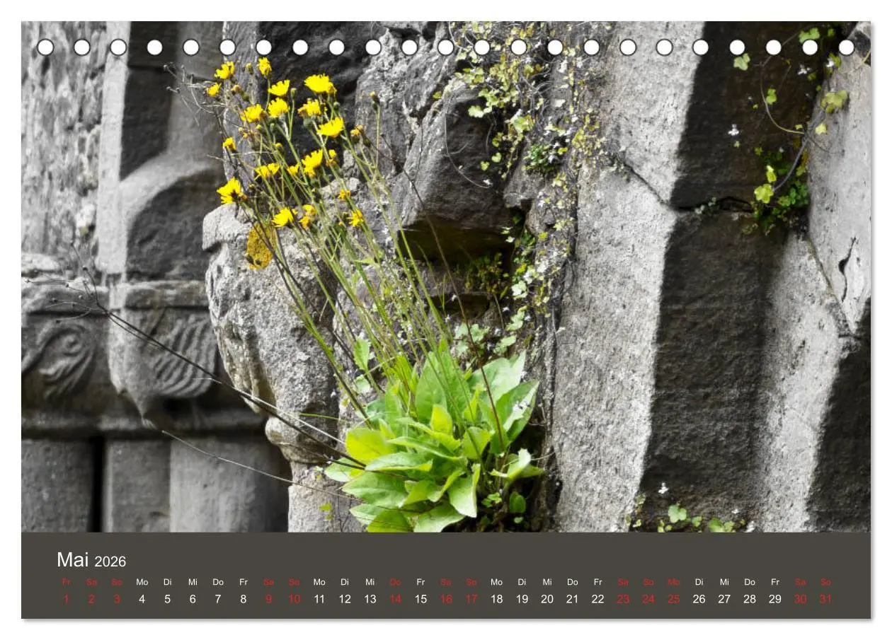 Bild: 9783457751862 | im stift zu bad hersfeld (Tischkalender 2026 DIN A5 quer), CALVENDO...