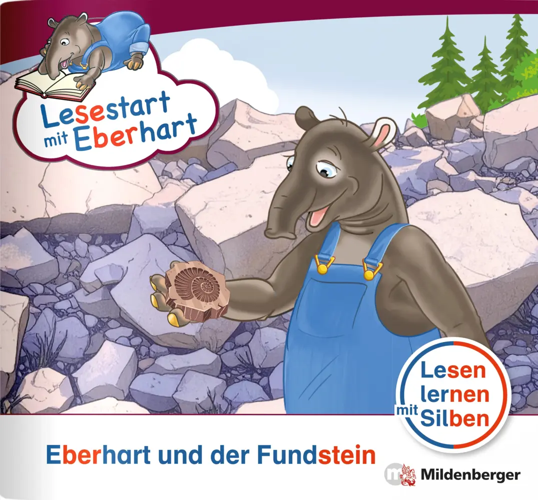 Cover: 9783619041862 | Lesestart mit Eberhart: Eberhart und der Fundstein | Brandau (u. a.)