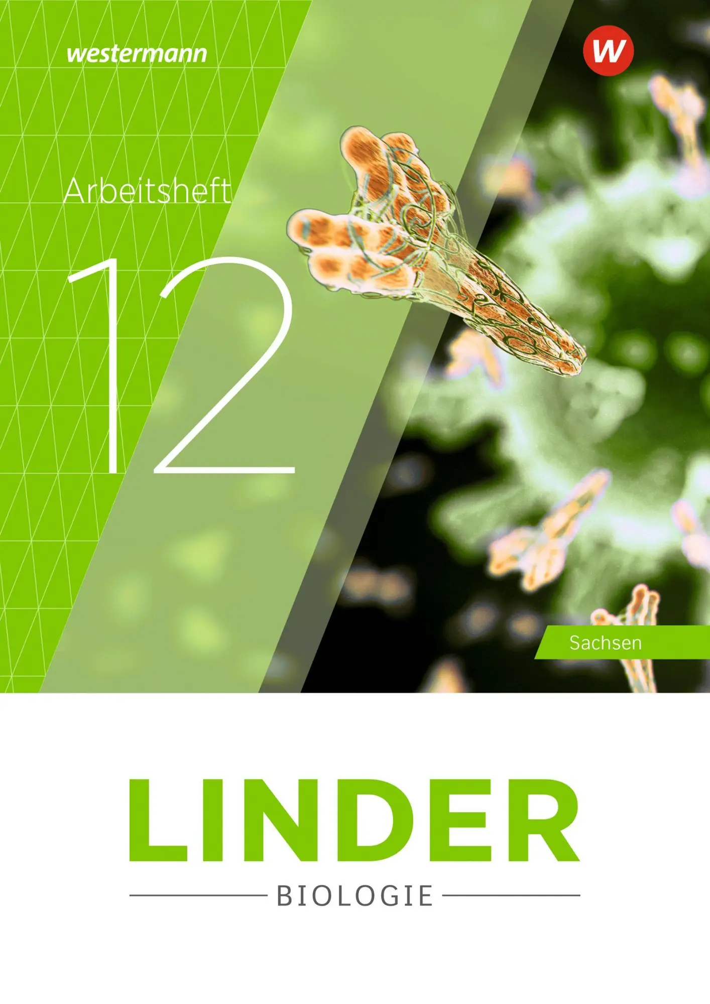 Cover: 9783141521962 | LINDER Biologie SII. Arbeitsheft 12. Für Sachsen | Ausgabe 2025 | 2026
