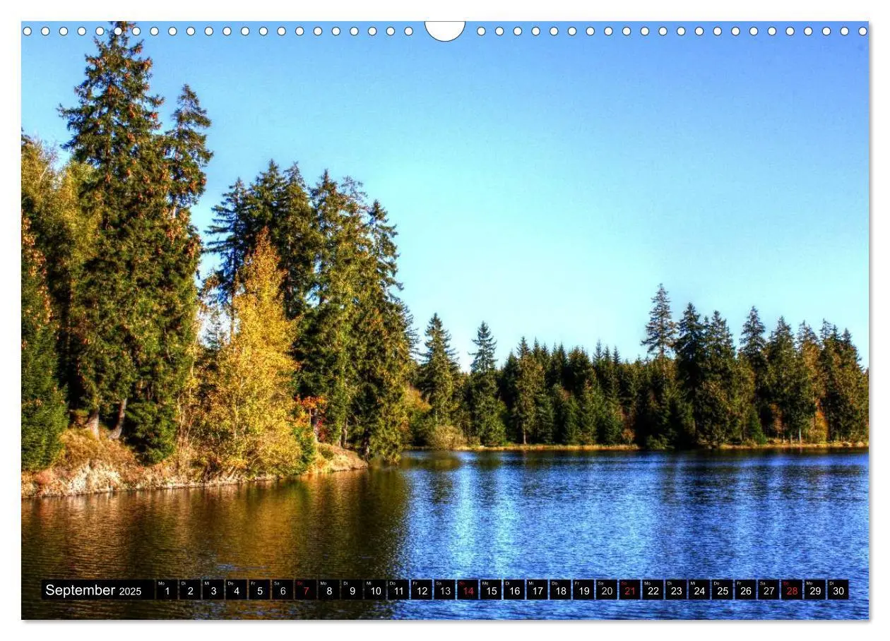 Bild: 9783435581962 | Verzauberter Harz (Wandkalender 2025 DIN A3 quer), CALVENDO...