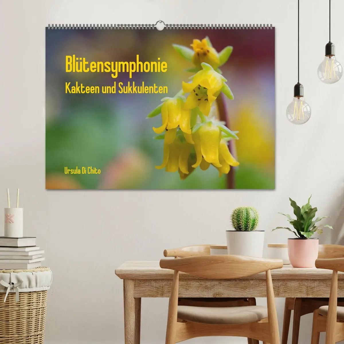 Bild: 9783516071962 | Blütensymphonie - Kakteen und Sukkulenten (Wandkalender 2026 DIN A2...