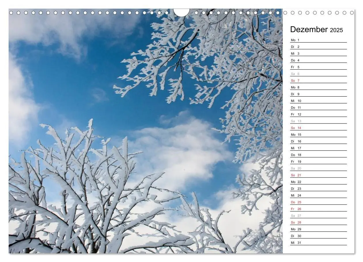 Bild: 9783435542062 | DER STEIGERWALD - Impressionen einer Landschaft (Wandkalender 2025...