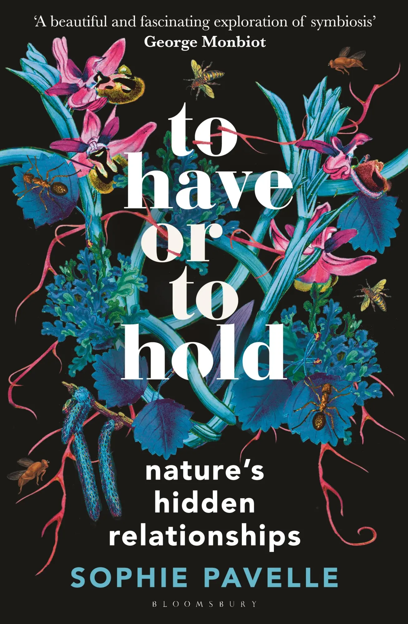 Cover: 9781399412162 | To Have or To Hold | Nature's Hidden Relationships | Sophie Pavelle