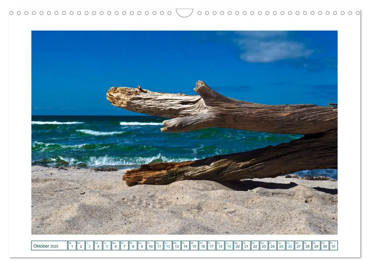 Bild: 9783457242162 | Der Weststrand am Darß (Wandkalender 2025 DIN A3 quer), CALVENDO...