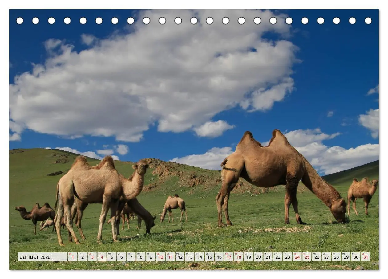 Bild: 9783457932162 | Mongolei Endlose Weite (Tischkalender 2026 DIN A5 quer), CALVENDO...