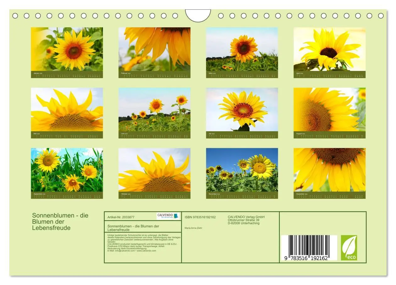 Bild: 9783516192162 | Sonnenblumen - die Blumen der Lebensfreude (Wandkalender 2026 DIN...