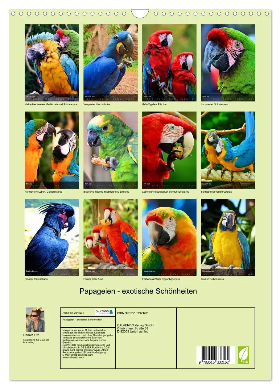 Bild: 9783516332162 | Papageien - exotische Schönheiten (Wandkalender 2026 DIN A3 hoch),...