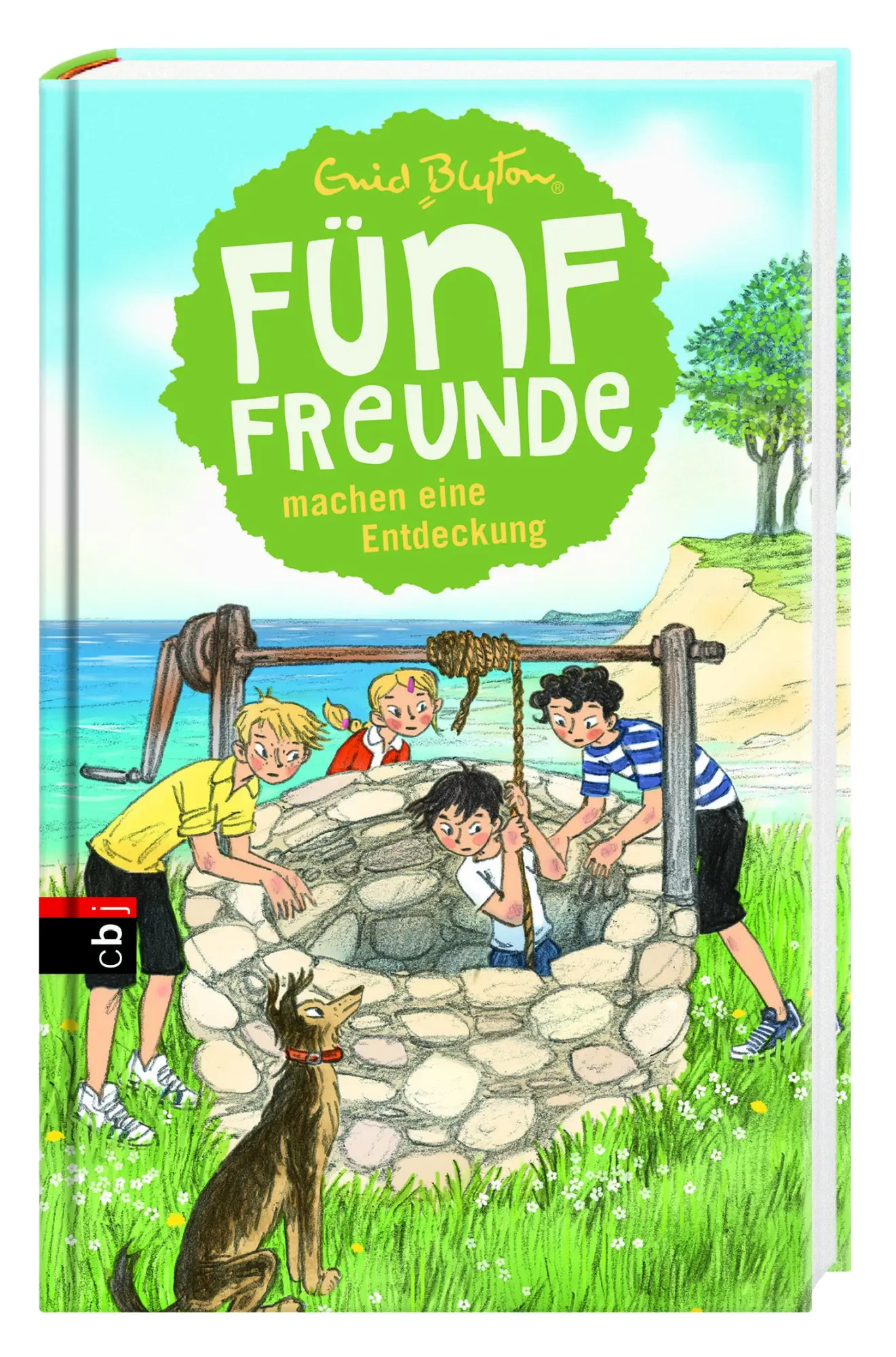 Bild: 9783570172162 | Fünf Freunde machen eine Entdeckung | Enid Blyton | Buch | 160 S.