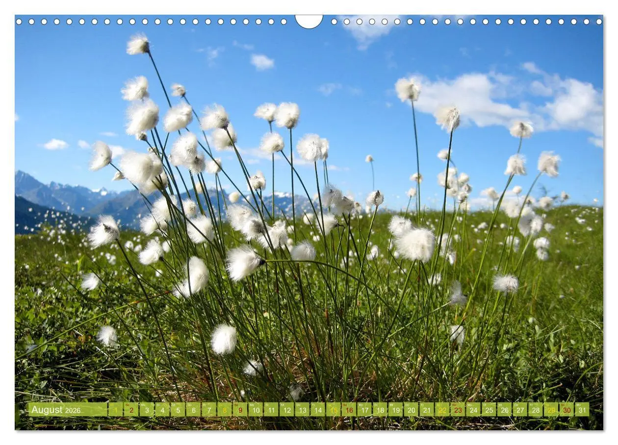 Bild: 9783457612262 | E5 - ZU FUSS ÜBER DIE ALPEN VON OBERSTDORF NACH MERAN (Wandkalender...