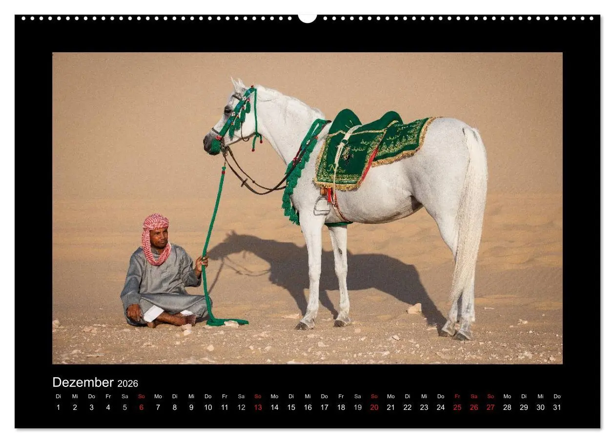 Bild: 9783516182262 | Vollblutaraber (hochwertiger Premium Wandkalender 2026 DIN A2...