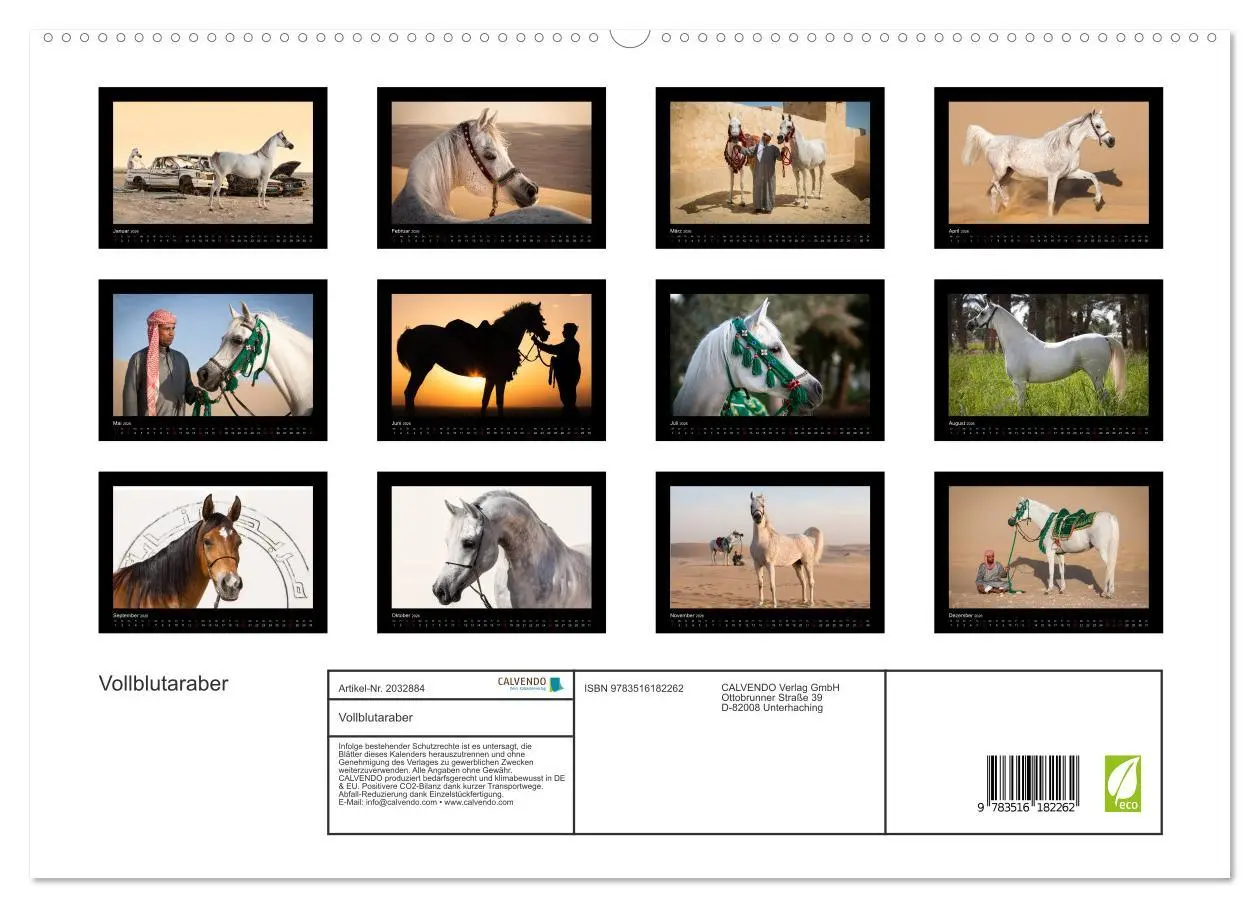 Bild: 9783516182262 | Vollblutaraber (hochwertiger Premium Wandkalender 2026 DIN A2...