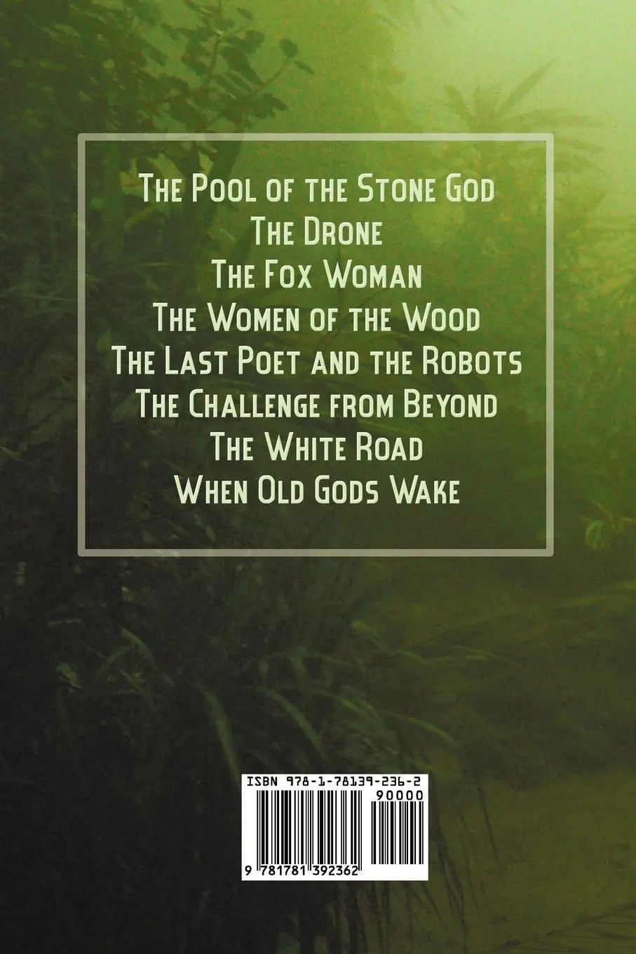 Rückseite: 9781781392362 | The Pool of the Stone God and Other Tales | Abraham Grace Merritt