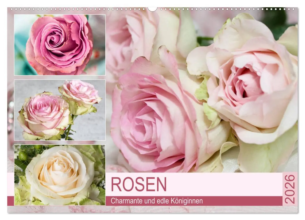 Cover: 9783457772362 | Rosen. Charmante und edle Königinnen (Wandkalender 2026 DIN A2...