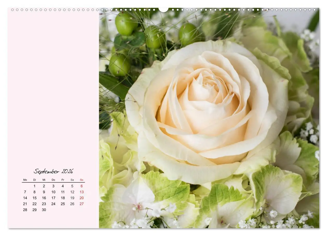 Bild: 9783457772362 | Rosen. Charmante und edle Königinnen (Wandkalender 2026 DIN A2...