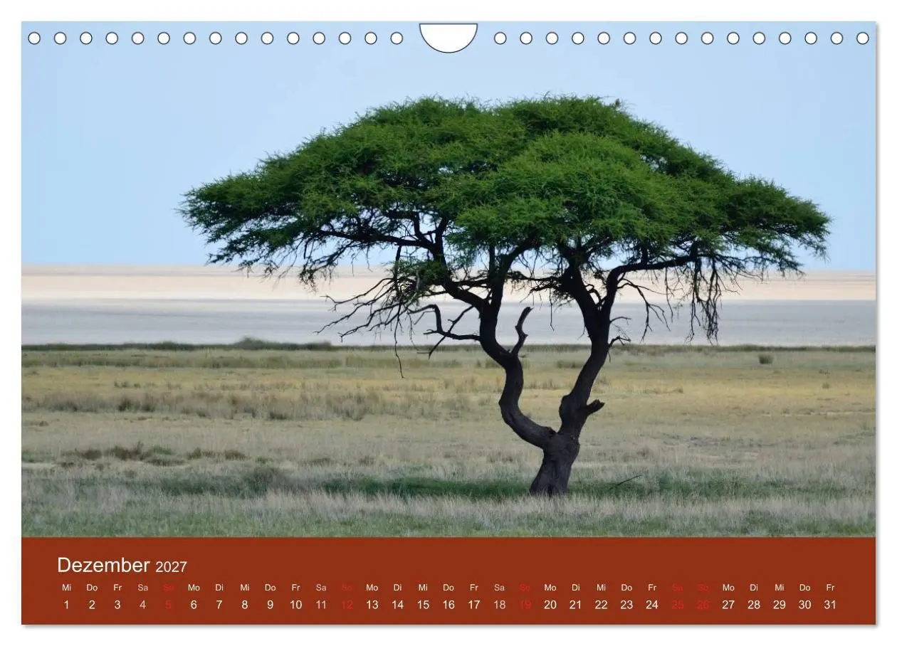 Bild: 9783594222362 | Namibia (Wandkalender 2027 DIN A4 quer), CALVENDO Monatskalender