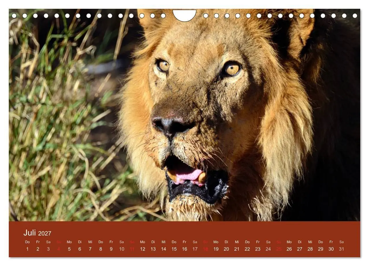 Bild: 9783594222362 | Namibia (Wandkalender 2027 DIN A4 quer), CALVENDO Monatskalender