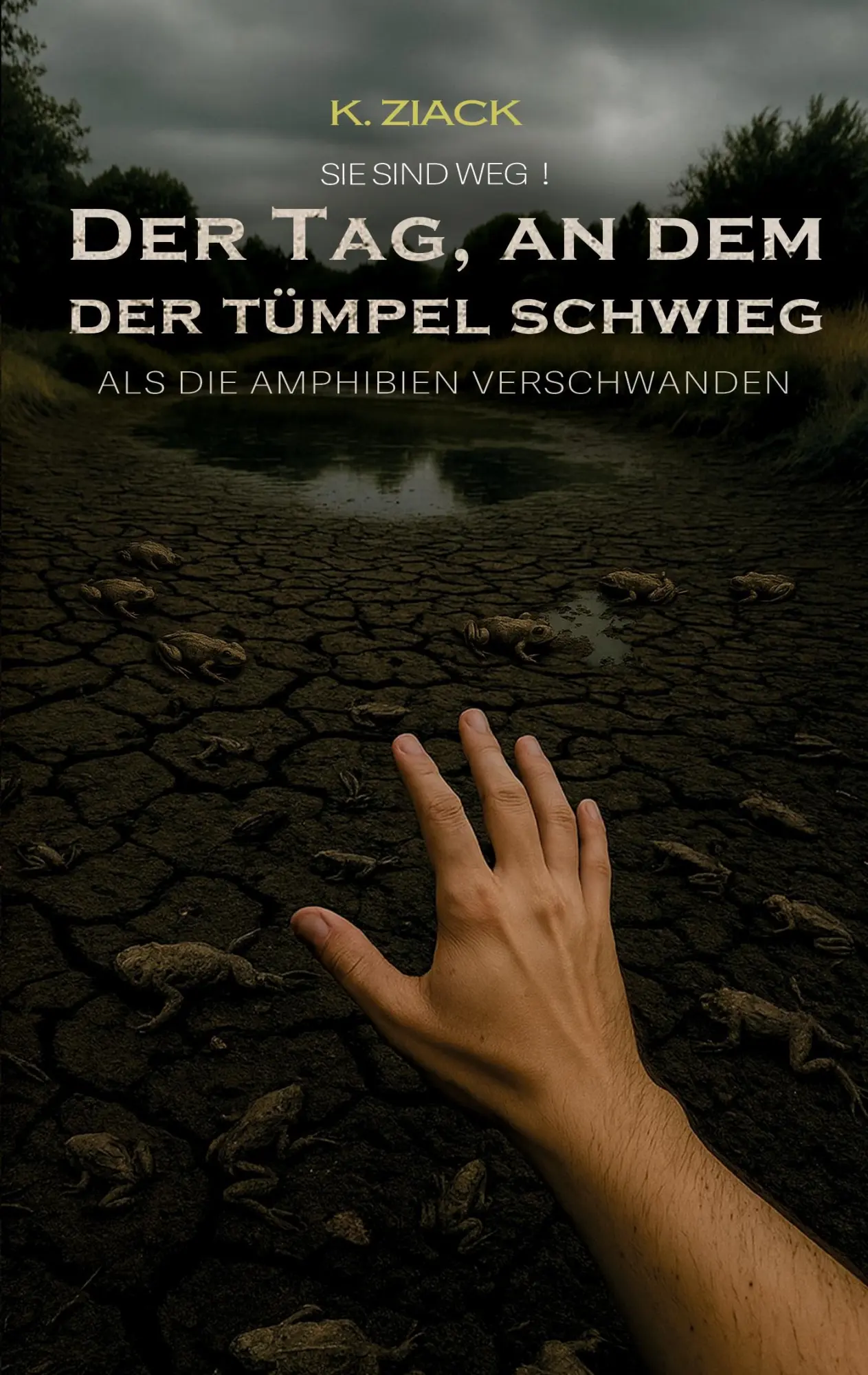 Cover: 9783695132362 | Sie sind weg | Der Tag, an dem der Tümpel schwieg | K. Ziack | Buch