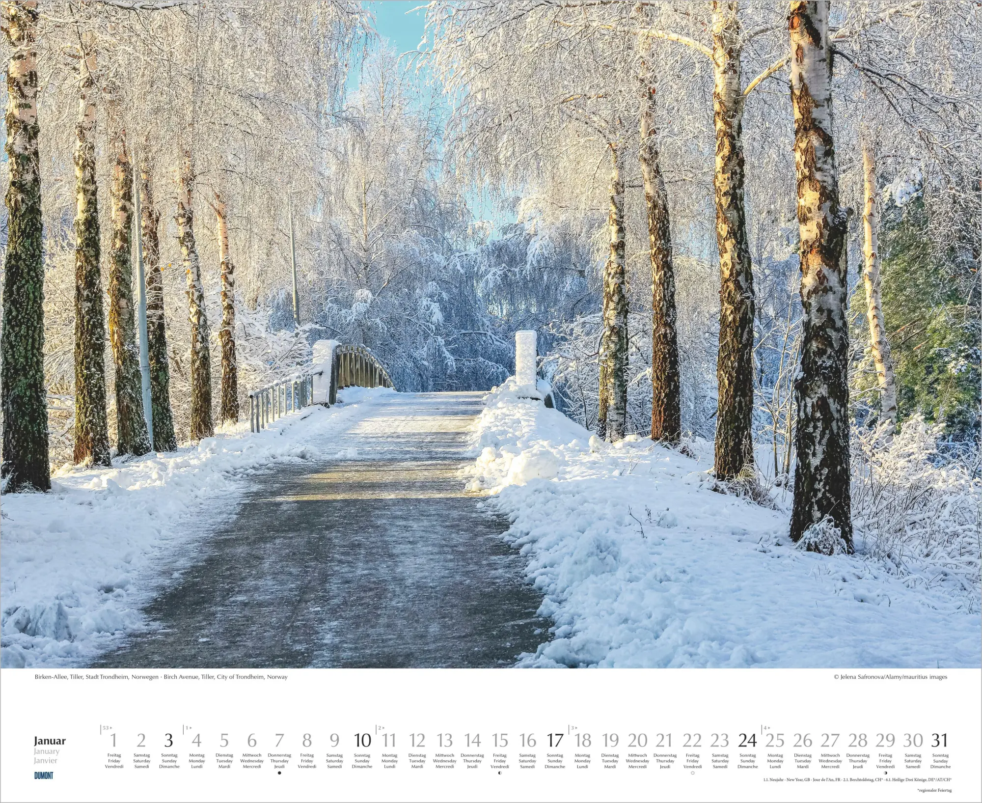 Bild: 4069095012462 | Bäume-Alleen 2027 | Neumann Verlage GmbH &amp; Co KG | Kalender | 14 S.