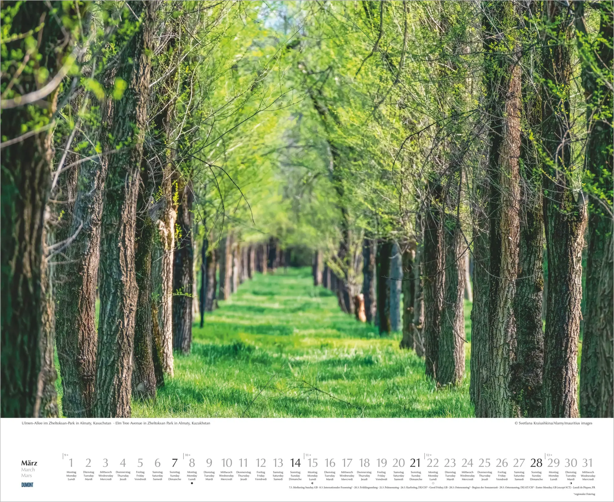 Bild: 4069095012462 | Bäume-Alleen 2027 | Neumann Verlage GmbH &amp; Co KG | Kalender | 14 S.