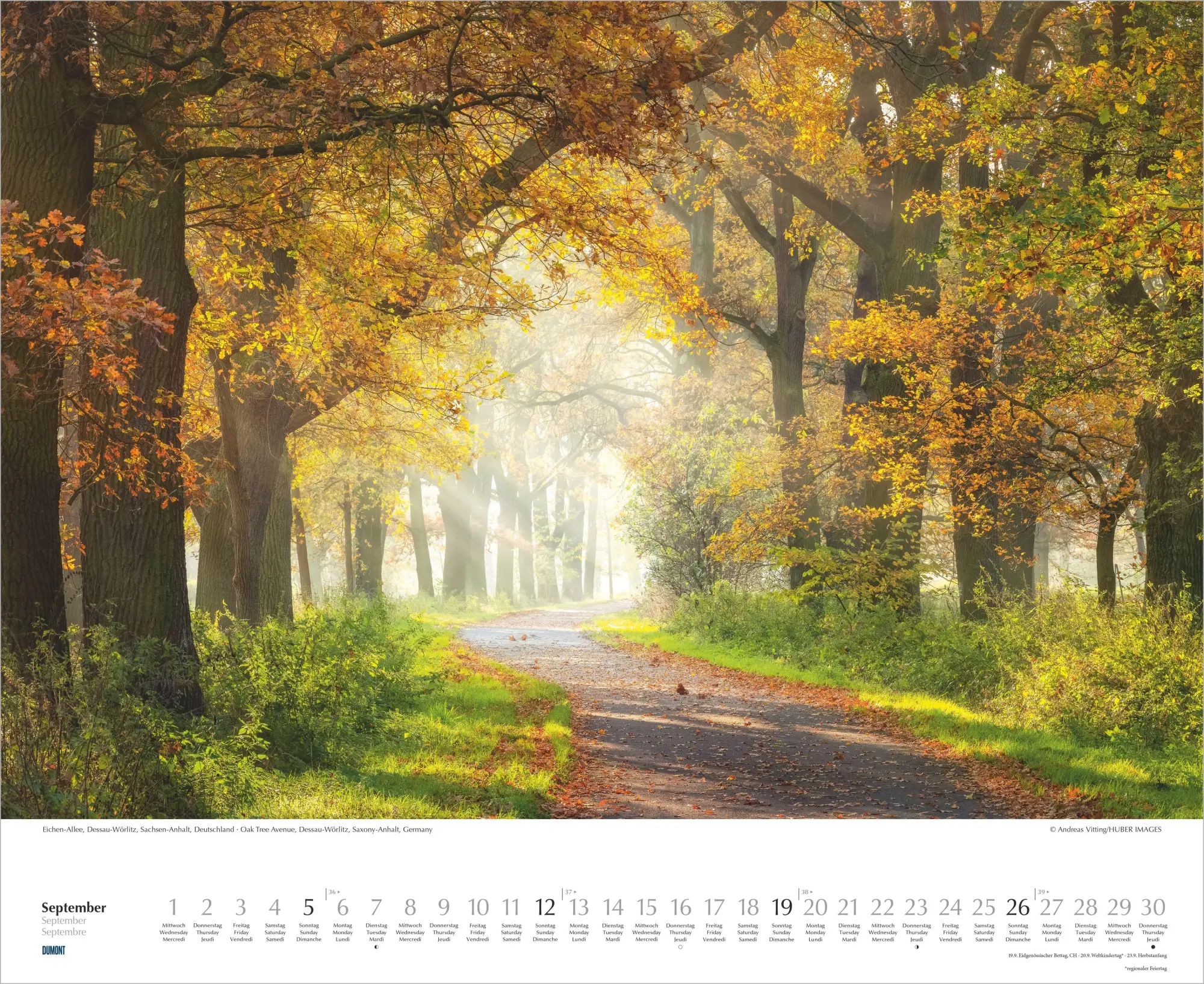 Bild: 4069095012462 | Bäume-Alleen 2027 | Neumann Verlage GmbH &amp; Co KG | Kalender | 14 S.