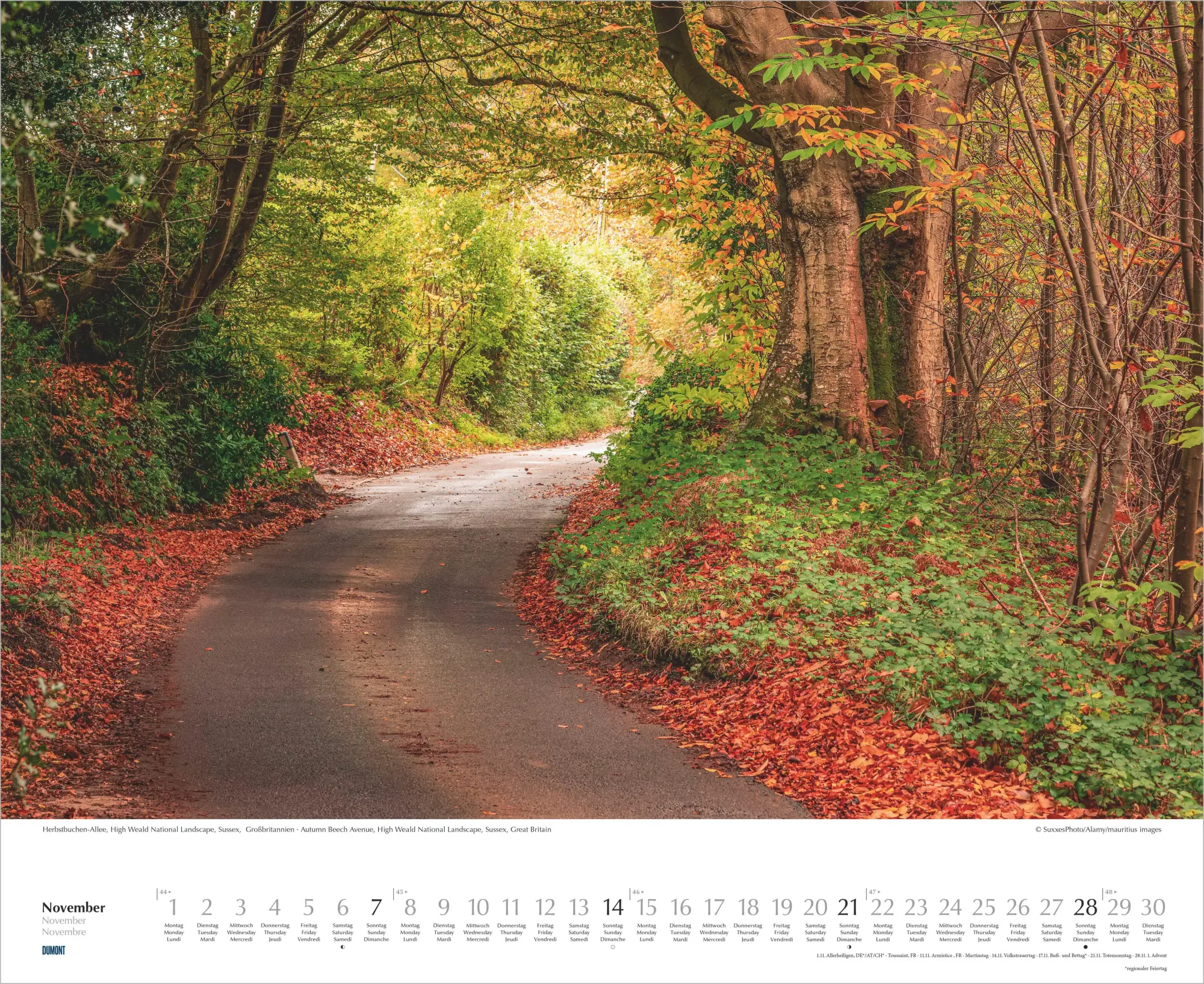 Bild: 4069095012462 | Bäume-Alleen 2027 | Neumann Verlage GmbH &amp; Co KG | Kalender | 14 S.