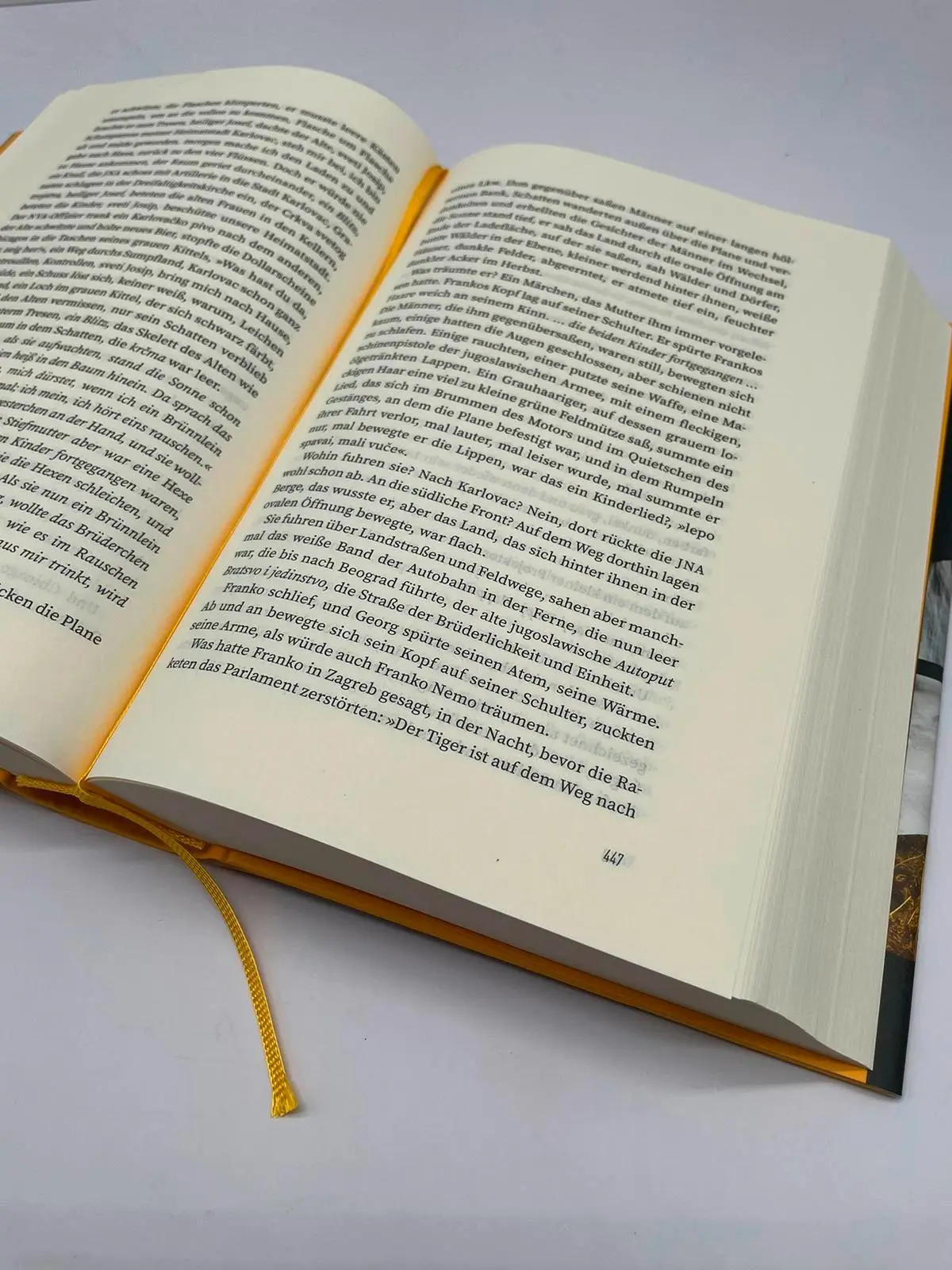 Bild: 9783100022462 | Die Projektoren | Clemens Meyer | Buch | 1056 S. | Deutsch | 2024