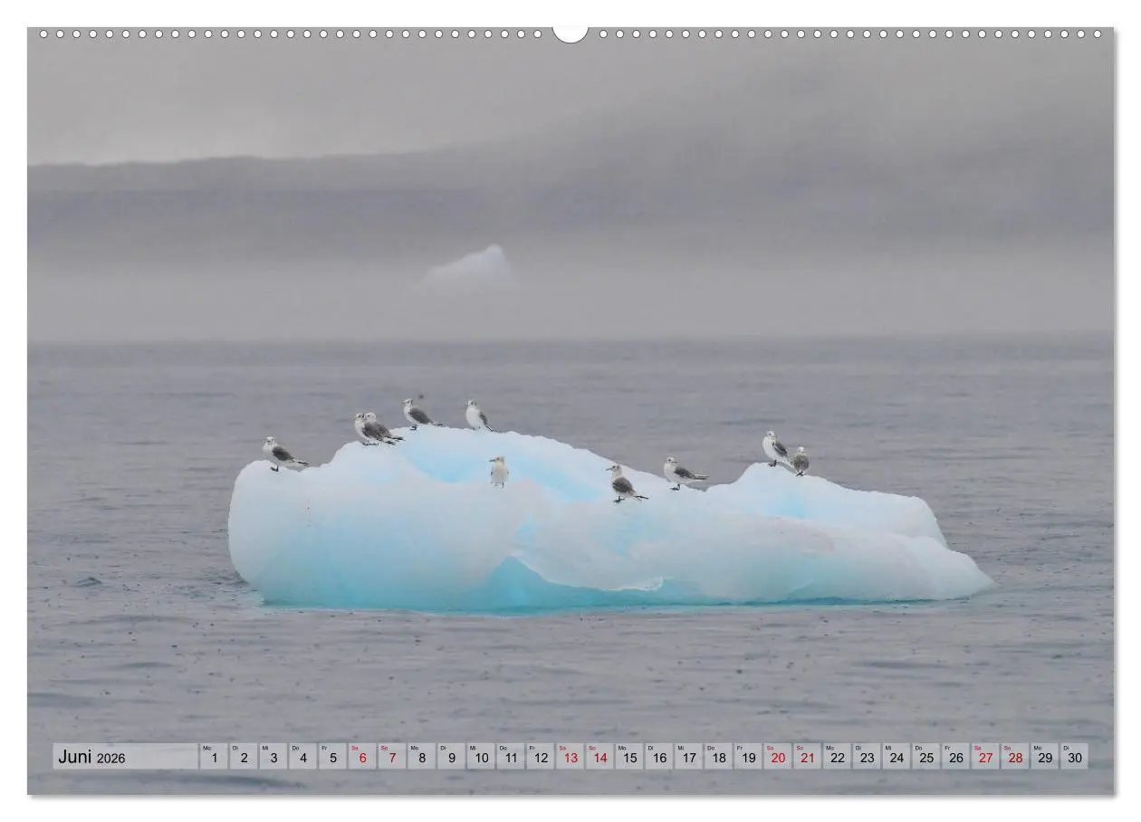 Bild: 9783457692462 | Grönland: Eisberge in der Disko Bucht (hochwertiger Premium...