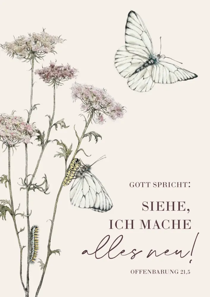 Cover: 4250454702562 | Jahreslosung 2026 - Poster A3 | Rebekka Rochlitzer | Sonstiges | 2025