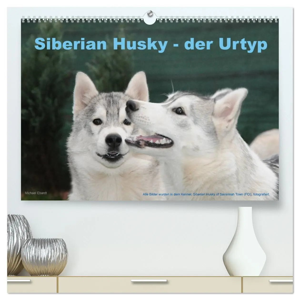 Cover: 9783516152562 | Siberian Husky - der Urtyp (hochwertiger Premium Wandkalender 2026...