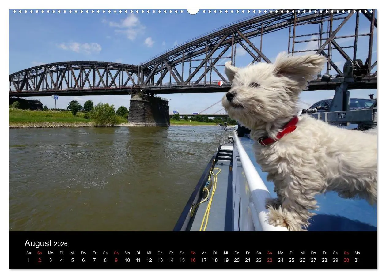Bild: 9783516222562 | Binnenschiff Ahoi! (hochwertiger Premium Wandkalender 2026 DIN A2...