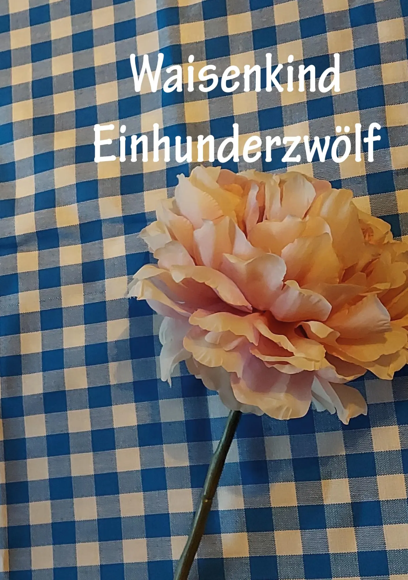 Cover: 9783755742562 | Waisenkind Einhundertzwölf | Christine Stutz | Taschenbuch | Paperback