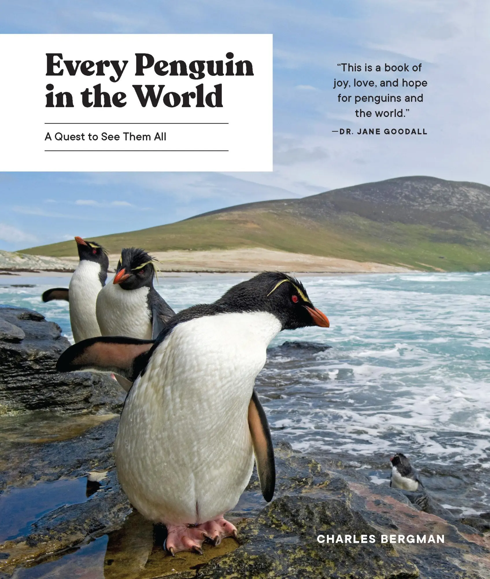 Cover: 9781632172662 | Every Penguin in the World | A Quest to See Them All | Charles Bergman