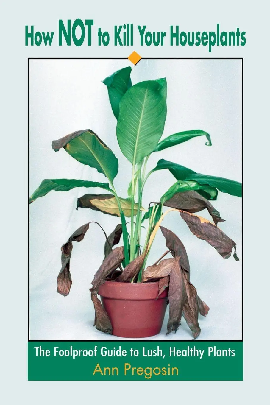 How Not to Kill Your Houseplants