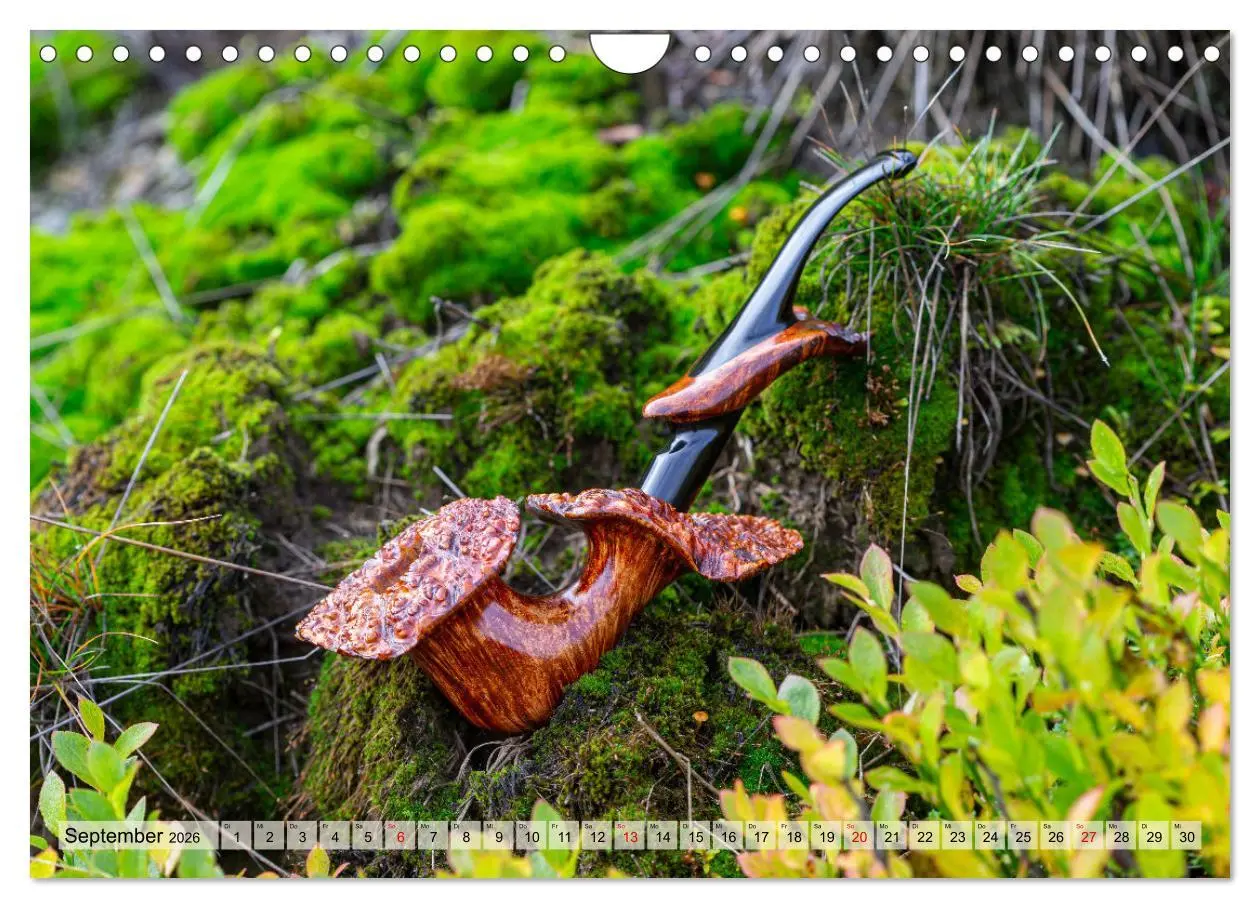 Bild: 9783457352762 | Tabakpfeifenkunst (Wandkalender 2026 DIN A4 quer), CALVENDO...