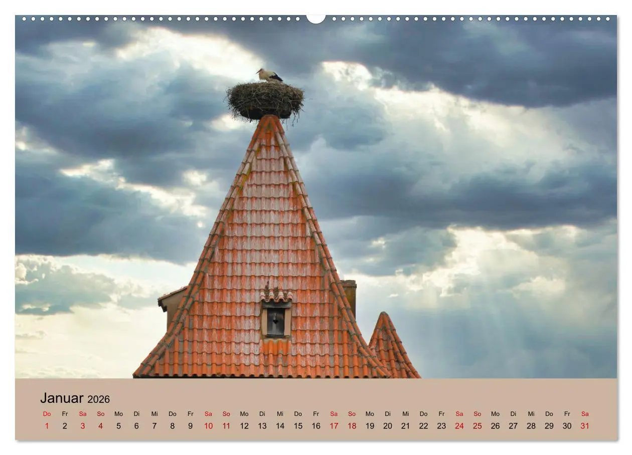 Bild: 9783457422762 | Der Storchenkalender (hochwertiger Premium Wandkalender 2026 DIN A2...