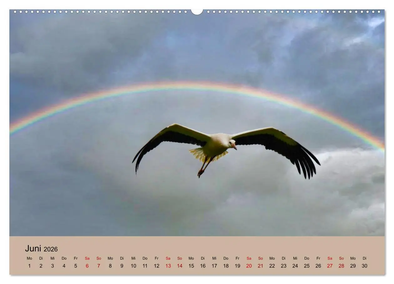 Bild: 9783457422762 | Der Storchenkalender (hochwertiger Premium Wandkalender 2026 DIN A2...