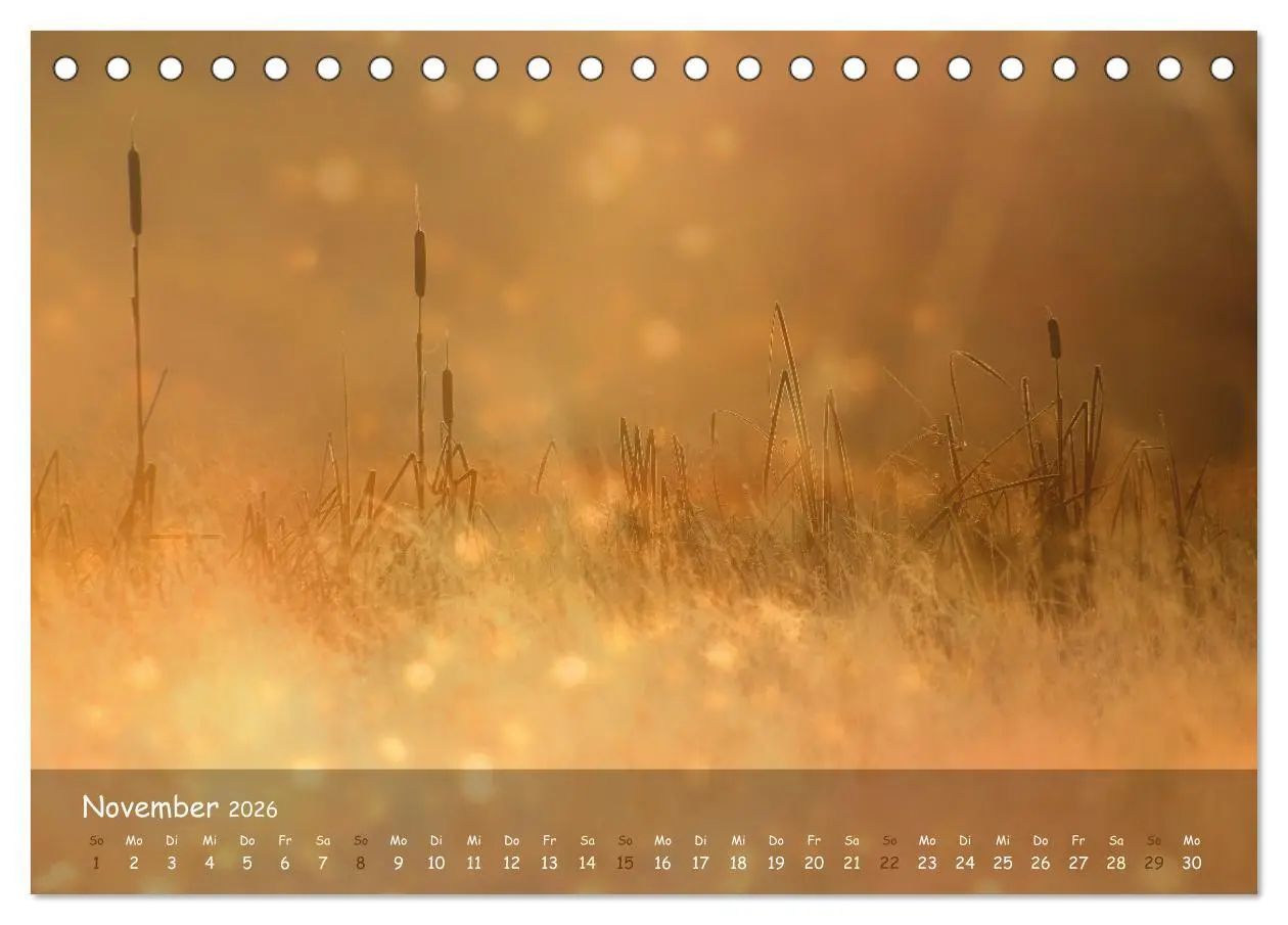 Bild: 9783457662762 | Zauberhaftes Norderstedt (Tischkalender 2026 DIN A5 quer), CALVENDO...