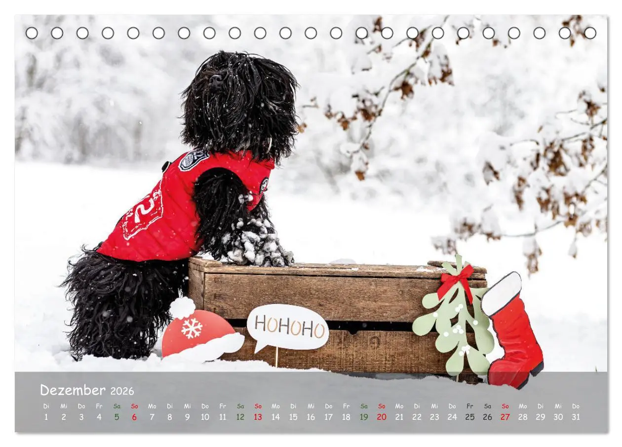 Bild: 9783457662762 | Zauberhaftes Norderstedt (Tischkalender 2026 DIN A5 quer), CALVENDO...