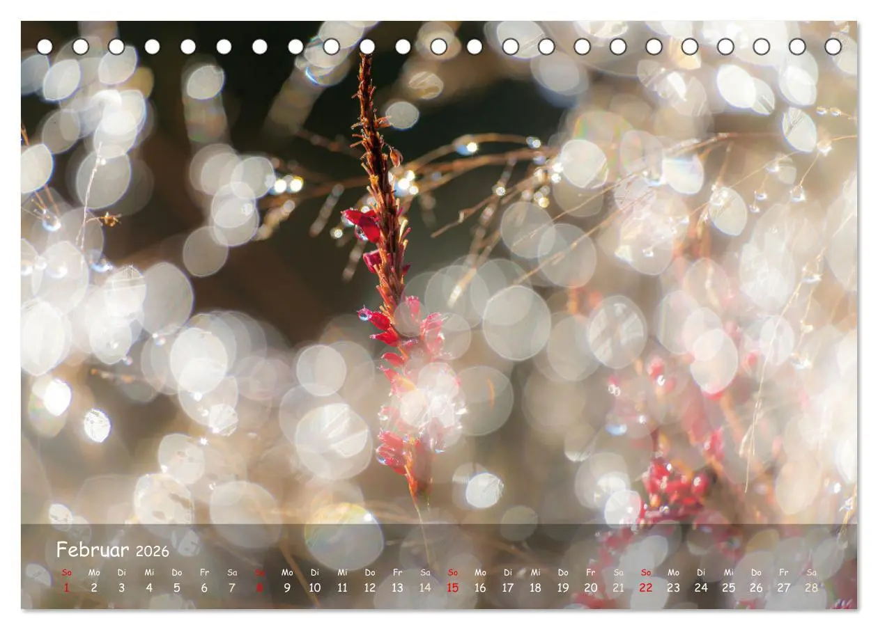 Bild: 9783457662762 | Zauberhaftes Norderstedt (Tischkalender 2026 DIN A5 quer), CALVENDO...