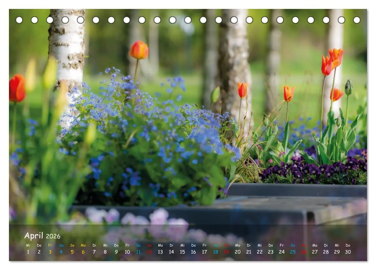 Bild: 9783457662762 | Zauberhaftes Norderstedt (Tischkalender 2026 DIN A5 quer), CALVENDO...