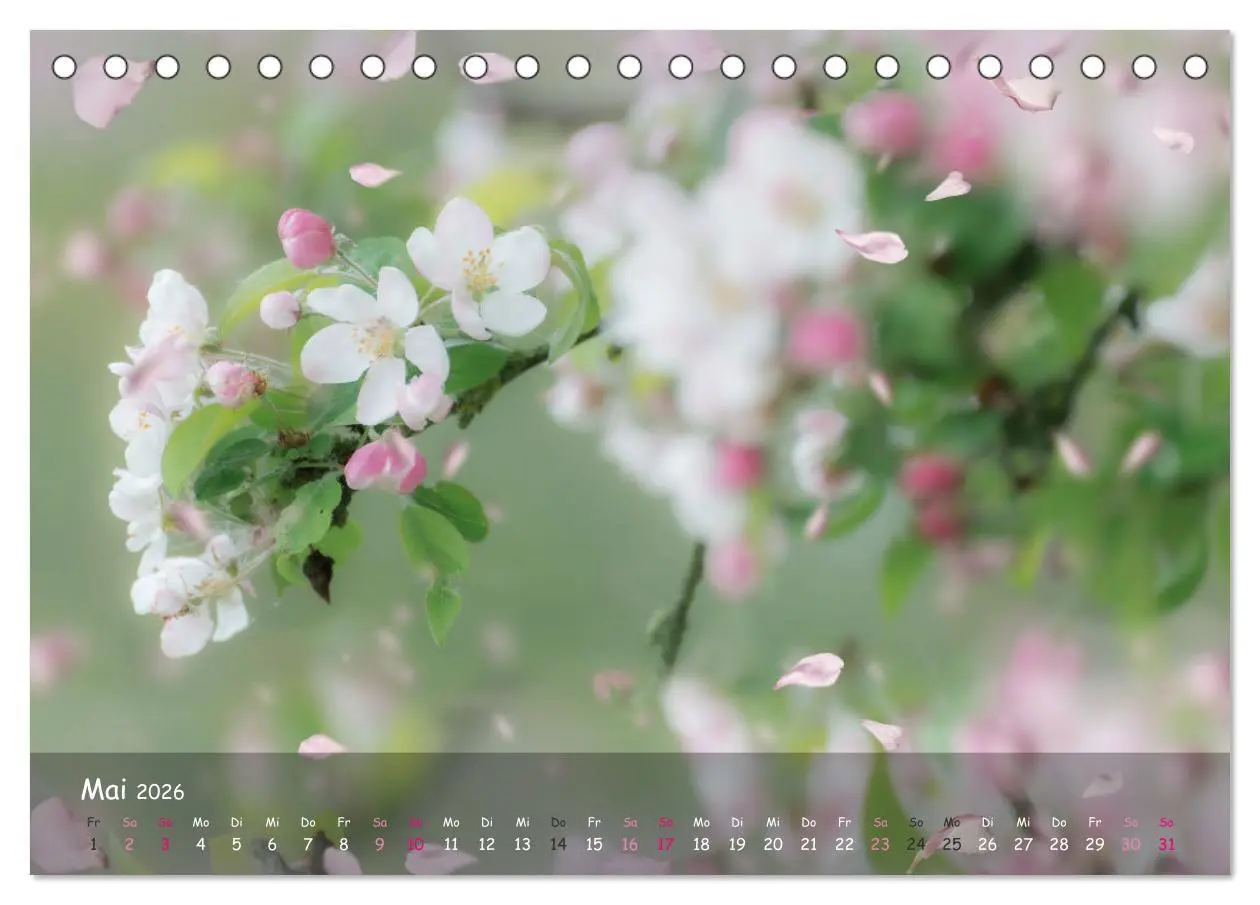 Bild: 9783457662762 | Zauberhaftes Norderstedt (Tischkalender 2026 DIN A5 quer), CALVENDO...