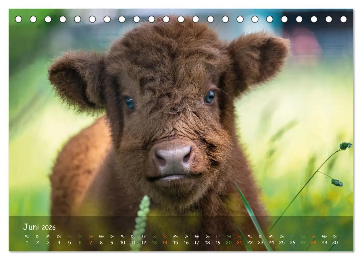 Bild: 9783457662762 | Zauberhaftes Norderstedt (Tischkalender 2026 DIN A5 quer), CALVENDO...